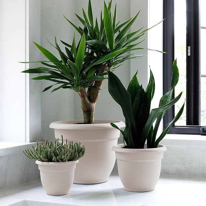 Bloem Ariana 6" Vanilla Bean Round Self-Watering Resin Planter Pot - Rolled Rim Indoor and Outdoor Gardening Planter