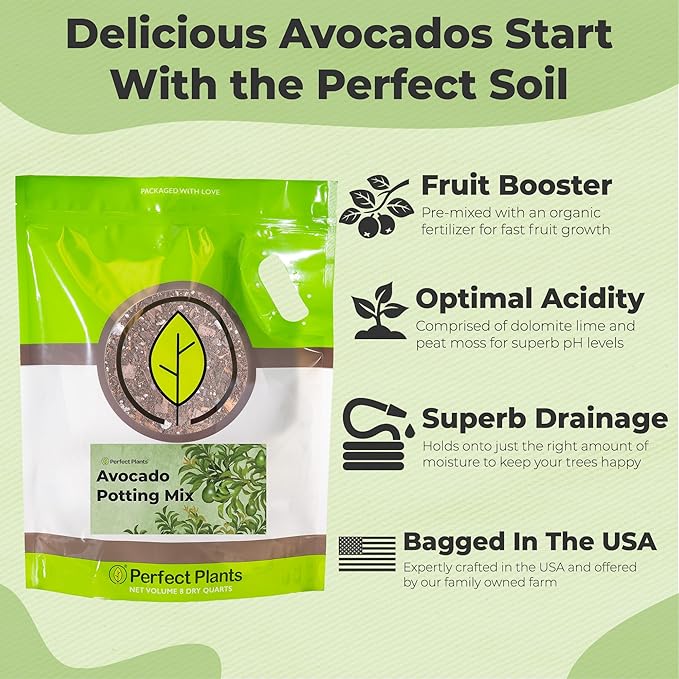 Professional Avocado Potting Mix by Perfect Plants | Premium All-Natural Blend for All Tropical Avocado Trees (8Qt)