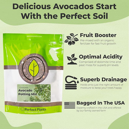 Professional Avocado Potting Mix by Perfect Plants | Premium All-Natural Blend for All Tropical Avocado Trees (8Qt)