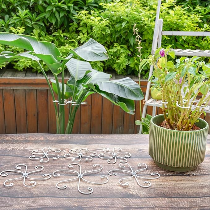 5PCS Monstera Plant Support Hook - 5.5x5.5 inch Premium Indoor Stem Stabilizer for Monstera & Fishbone Cactus, Durable,Easy Installation, Gentle Protection for Healthy Plant Growth