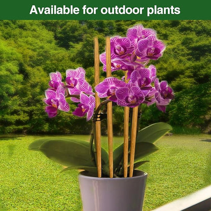 Strong Bamboo Sticks for Plants,18 Inch Tall Bamboo Poles for Plants, Plant Stakes for House Outdoor Indoor, Wood Garden Stakes for Potted Tomato Flower, 12 Pieces Long Wooden Rods Heavy Duty Support