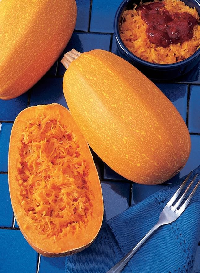 Burpee Goldetti Hybrid Winter Squash Seeds 25 seeds