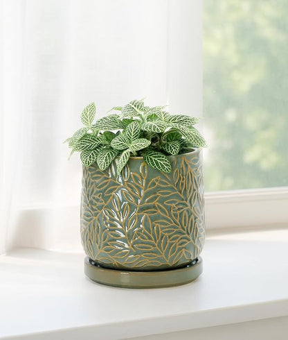 D'vine Dev 4 Inch Embossed Leaves Stoneware Planter Pot with Drainage Hole and Saucer, Olive, 27-A-Z-0