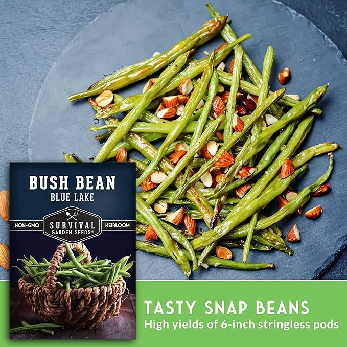 Blue Lake 274 Bush Bean Seeds for Planting - Heirloom Non-GMO Green Beans - High Germination, Stringless 5–6" Pods, Compact Bush Plants, Great Flavor - Survival Garden Seeds (2 Packs)