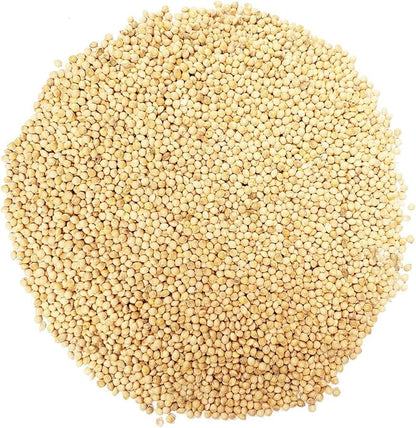 CountryMax Backyard Seeds White Millet Bird Seed - Premium Finch Food (50 Pounds)