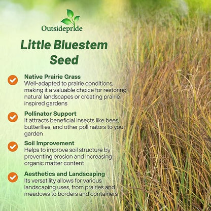 Outsidepride Perennial Little Bluestem Grass Seed - 10 lbs. Warm Season, Drought Resistant, Long-Lived Native Prairie Grass Seed, Ideal for Erosion Control, Ornamental Landscaping & Wildlife Gardens