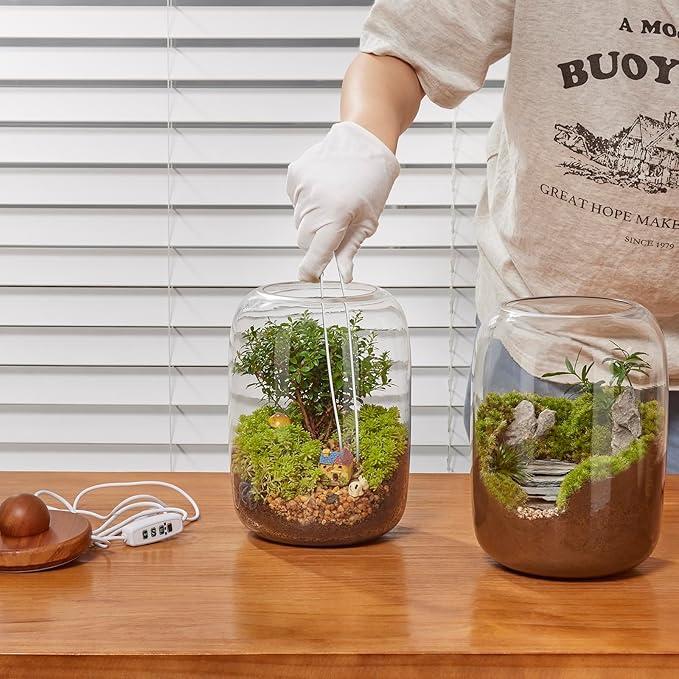 Desktop Glass Terrarium with Time-Controlled Grow Light, H 8.6IN x D 6.3IN Plant Propagation Station and Air Planter for Office and Home