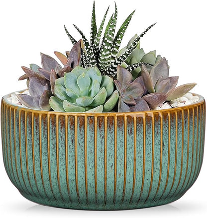 Plant Pots Indoor with Drainage Hole 6 inch Ceramic Plant Pot Grey Blue Succulent Pot Small Round Planters for Indoor Outdoor Plants Bonsai Bowl Decorative Flower Pots for Orchid Cactus Snake Plant