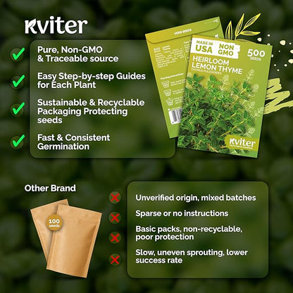 KVITER 500 Lemon Thyme Seeds for Planting (Thymus Pulegioides) – Wild Creeping Thyme Seeds Ground Cover, Aromatic & Drought-Tolerant Herbaceous Flower – Ideal for Walls, Fences & Herb Garden