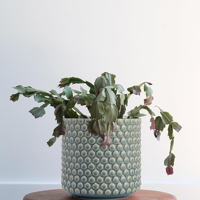 Bloomingville Sky Blue & Cream Stoneware Pot with Crackle Finish