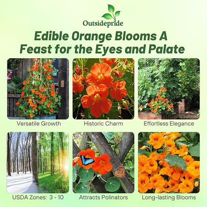 Outsidepride Double Gleam Orange Nasturtium Seeds - 200 Pcs Annual, Easy to Grow & Versatile, Flower Seeds for Planting Vibrant Blooms, Ideal for Gardens, Borders, and Pollinator Gardens