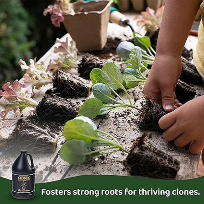 Clonex Clone Solution, Professional-Grade Nutrient Formula for Seedlings, Cuttings, and General Use. Feeds Young Plants, Helps Promote Growth & Rapid Root Development - 1 Gallon