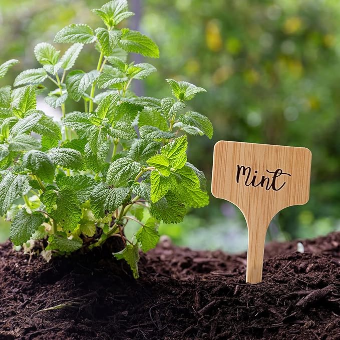 VITEVER 100pcs Plant Labels, T-Type Plastic Tags with Marker Pen, Waterproof Garden Signs for Outdoor Plants (3.9” x 2.4”)