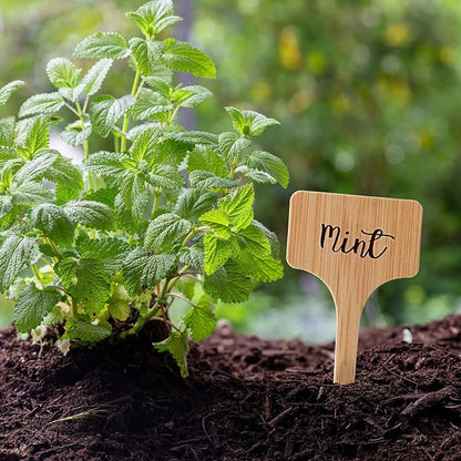 VITEVER 100pcs Plant Labels, T-Type Plastic Tags with Marker Pen, Waterproof Garden Signs for Outdoor Plants (3.9” x 2.4”)