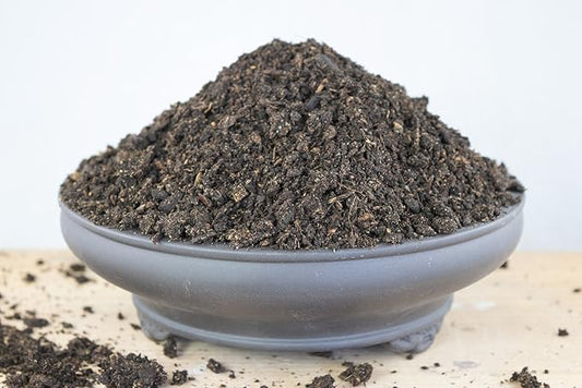 10 Cups Aged Fine Composted Fir Bark for Cactus & Succulent,Garden House Plant, Bonsai Tree Soil Mix - Organic Additive