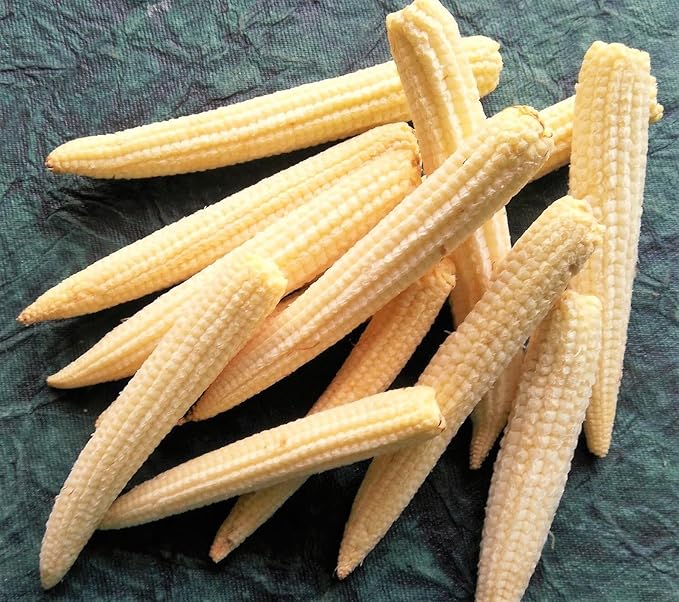 TomorrowSeeds - Baby Corn Seeds - 300+ Count - for 2026 Planting Asian Miniature Sweet Chinese Takeout Immature Young Early Indian Native Soft Vegetable Grow Your Own Home Farm Patio Healthy