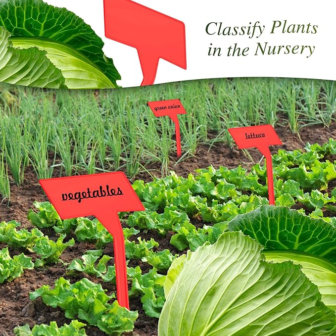 Marsui 202 Pcs Large Plant Labels Kit, Include 100 Outdoor Plastic Plant T Type Tags Waterproof Reusable Plant Markers Stakes, 100 PET Films and 2 Marker Pens for Herbs Pot (Red,11.8 Inch)