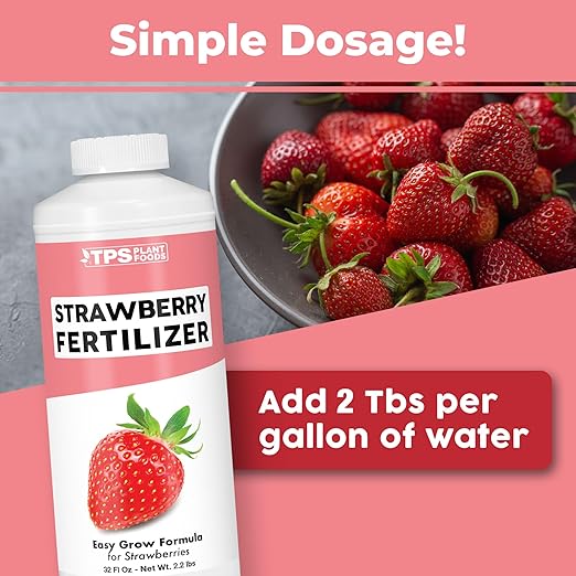 Strawberry Fertilizer for Fruit and Berry Gardens, Liquid Plant Food, 32 oz (1 Quart)