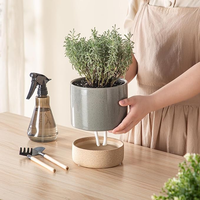 Self Watering Plant Pot: 6 Inch Ceramic Planter with Drainage Hole & Water Storage Plus - Flower Pot for Indoor & Outdoor Plants (Dark Grey, Small)