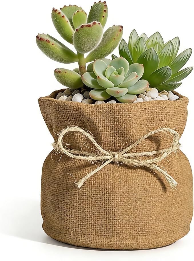 Succulent Pots Flower Pots for Indoor Plants Cute Plant Pots Candy Bowl for Office Key Holder Bowl Farmhouse Table Decor (Linen)