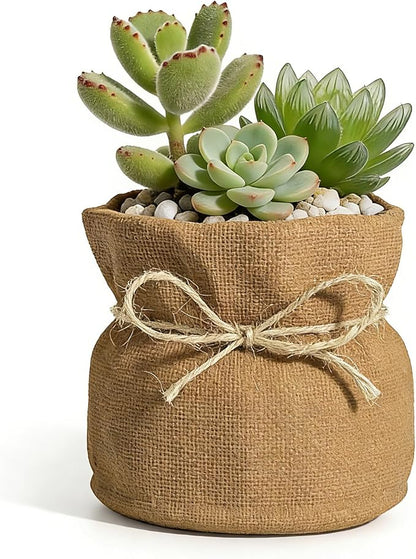 Succulent Pots Flower Pots for Indoor Plants Cute Plant Pots Candy Bowl for Office Key Holder Bowl Farmhouse Table Decor (Linen)
