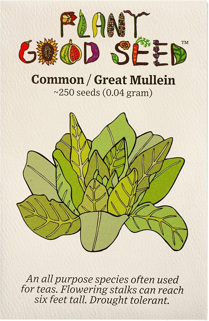 Plant Good Seed Organic Common Mullein Seeds for Planting: Medicinal Tea Herb, Yellow Flowers - 250 Seed Packet