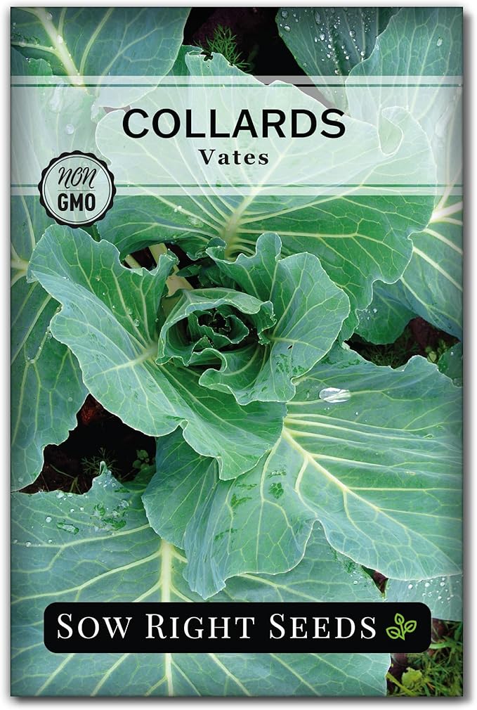Sow Right Seeds - Vates Collard Greens Seeds for Planting - Non-GMO Heirloom Packet with Instructions to Plant a Home Vegetable Garden - Nutritious and Classic Cooked Southern Greens (1)