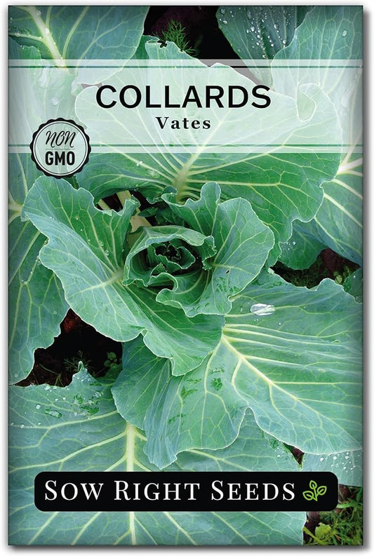 Sow Right Seeds - Vates Collard Greens Seeds for Planting - Non-GMO Heirloom Packet with Instructions to Plant a Home Vegetable Garden - Nutritious and Classic Cooked Southern Greens (1)