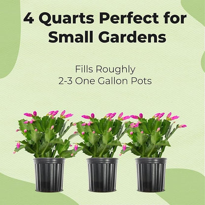 All Natural Christmas Cactus Potting Soil by Perfect Plants | Made in The USA | Christmas Cactus & Other Succulent Varieties | Formulated for Proper Drainage (4qt)