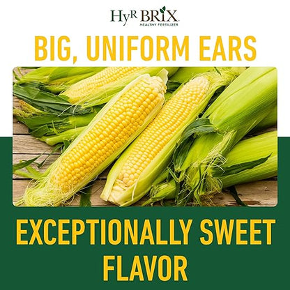 HyR BRIX Slow-Release 16-7-10 Sweet Corn Fertilizer, 5lb Bucket - Corn Food with Calcium & Sulfur - Essential Micronutrients for Big, Uniform Ears & Sweet Flavor