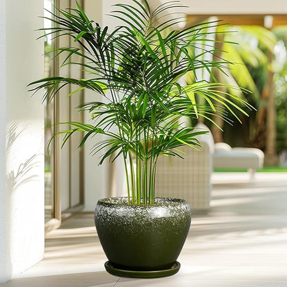 8 Inch Plant Pot - Ceramic Planter with Drainage Hole and Saucer, Modern Flower Pot for Glazed Indoor Plants Outdoor, Dark Green