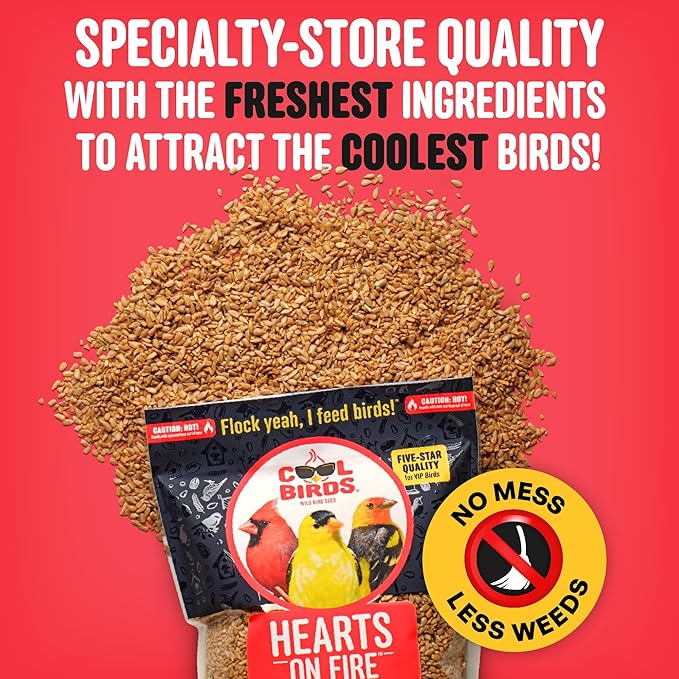 Hearts on Fire Hot Bird Seed – 10 lb. 100% Hulled Sunflower Hearts with Chili Pepper Oil – No Waste Bird Seed for Outside Feeders