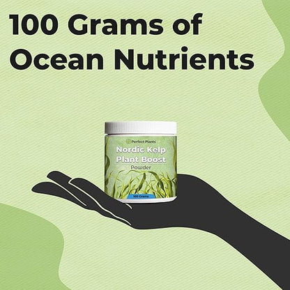 Nordic Kelp Plant Boost by Perfect Plants | Powder Seaweed Fertilizer to Support Strong Roots & Healthy Growth | Use On All Indoor & Outdoor Plants | NPK 0-0-17
