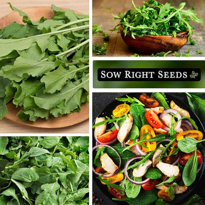 Sow Right Seeds - Arugula Seeds for Planting - Non-GMO Heirloom Seeds with Instructions to Plant a Home Vegetable Garden - Indoors, Hydroponics or Outdoors - Salad Greens - Grow Kitchen Herbs (1)