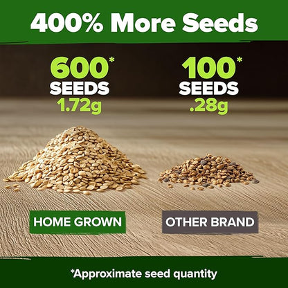 HOME GROWN Beefsteak Tomato Seed 2Pack - 600 Heirloom Tomato Seeds for Planting Outdoors High-Yield Non-GMO Vegetable Seeds for Growing Large, Meaty Tomatoes for Summer Dishes (Solanum lycopersicum)
