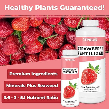 Strawberry Fertilizer for Fruit and Berry Gardens, Liquid Plant Food, 32 oz (1 Quart)