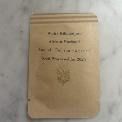 100 White Kilimanjaro White African Marigold Seeds, Annual Flower, Full Sun