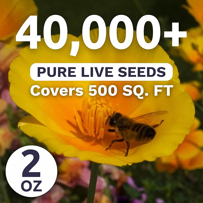 California Poppy – Formula Mix – Large 2 Ounces Seed Packet – 40,000 Flower Seeds for Planting – Eschscholzia californica