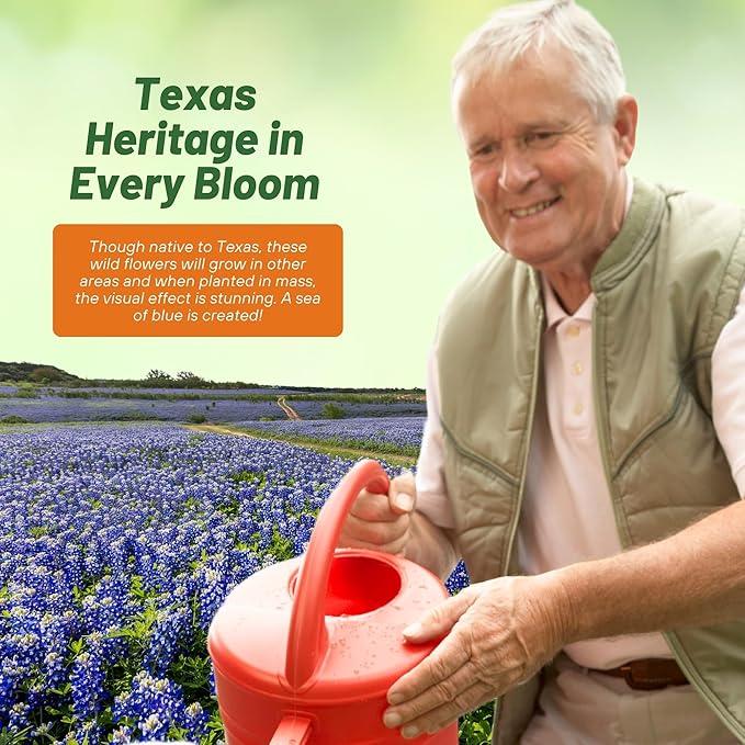 Outsidepride Texas Bluebonnet Seeds - 1 lb. Annual Lupinus Texensis, Heirloom Quality, Drought-Tolerant Wildflower Seeds w/Blue Blooms for Vibrant Spring Displays, Landscape, & Attracts Pollinators