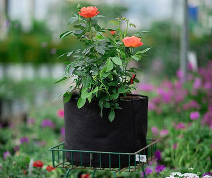 Smart Pots 15-Gallon Smart Pot Soft-Sided Container, Black
