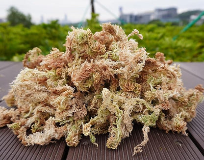 Sphagnum Moss 1.2 lb for DIY Moss Pole, Great Potting Mix for Indoor Plants, Help with Maintain Humidity