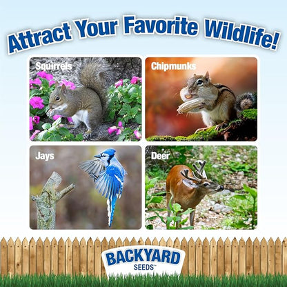 CountryMax Backyard Seeds Squirrel & Chipmunk Food Mix – 8 lb Bag – Premium Wildlife Blend with Sunflower Seeds, Peanuts & Corn – Ideal for Squirrels, Chipmunks, Rabbits & Backyard Birds