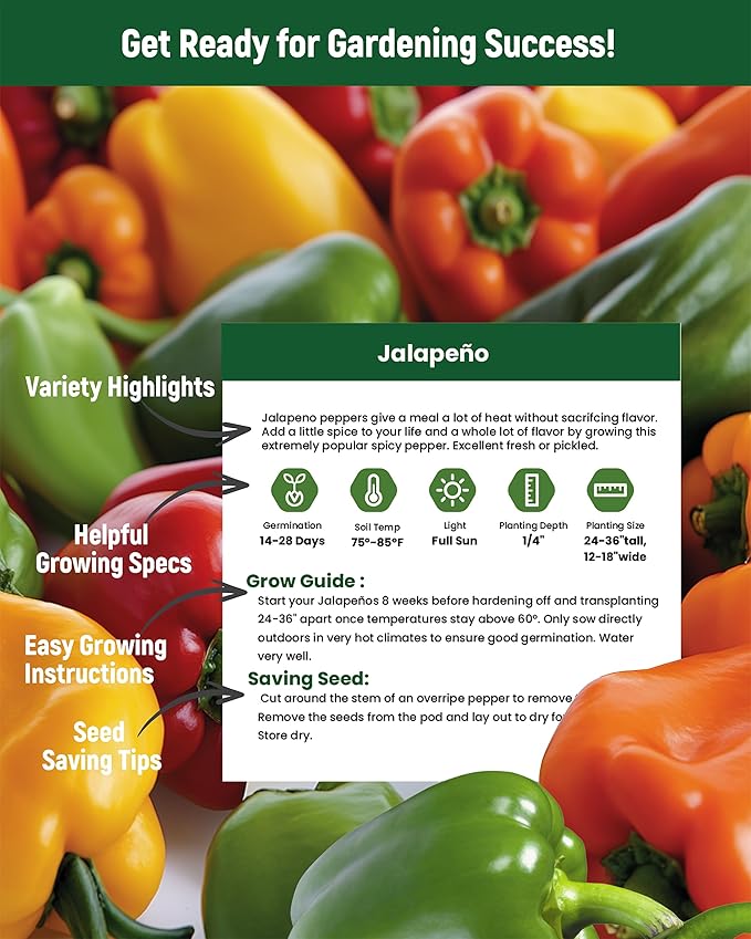 Sweet Pepper Seeds Gardening Kit - 6 Heirloom Varieties for Salsa & Cooking - Non-GMO Chili Plant Seeds for Indoor & Outdoor Planting: Red, Orange, Yellow, Green and More Bell Pepper