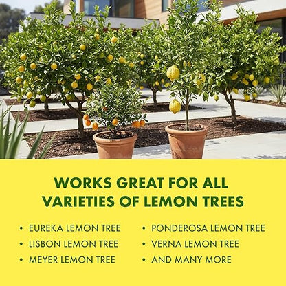 Lemon Tree Fertilizer for Lemon Trees and Citrus, Liquid Plant Food, 1 Gallon (128 oz)