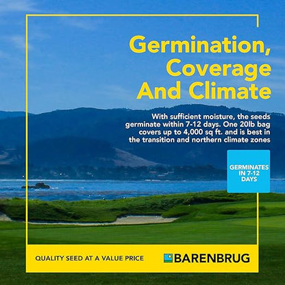 Barenbrug Pebble Beach Sun & Shade Grass Seed Mixture for Lawn Repair & Growth, Pebble Beach Golf Course Approved Blend, 20 LB Bag