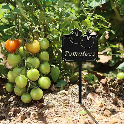 Metal Seed & Plant Labels - Plant Markes for Seedlings-Plant Tags for Pots - Garden Signs for Vegetable - Durable Markers for Plants Outdoor Waterproof - Garden Decor for Farmhouse(Broccoli)