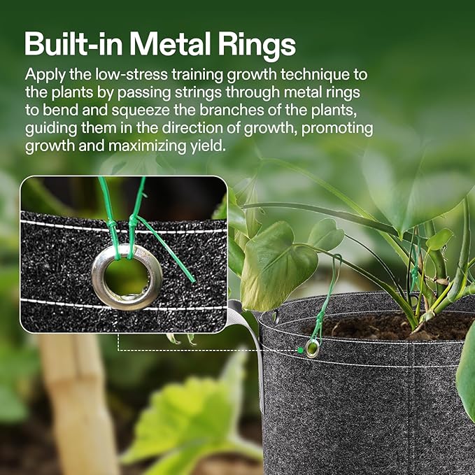VIVOSUN 10-Pack 5 Gallon Grow Bags, 500G Thick Nonwoven Fabric Pots with Strap Handles, Multi-Purpose Rings, for Low Stress Plant Training Fruits, Vegetables, and Flowers
