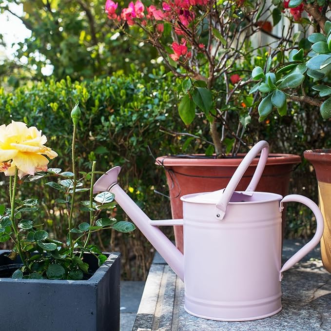 1 Gallon Watering Can, Matte Pink (Almost Manve), Metal Watering Can with Removable Spout, Galvanized Water can with Floral Design, Perfect Plant Water Can for Outddor and Indoor Use