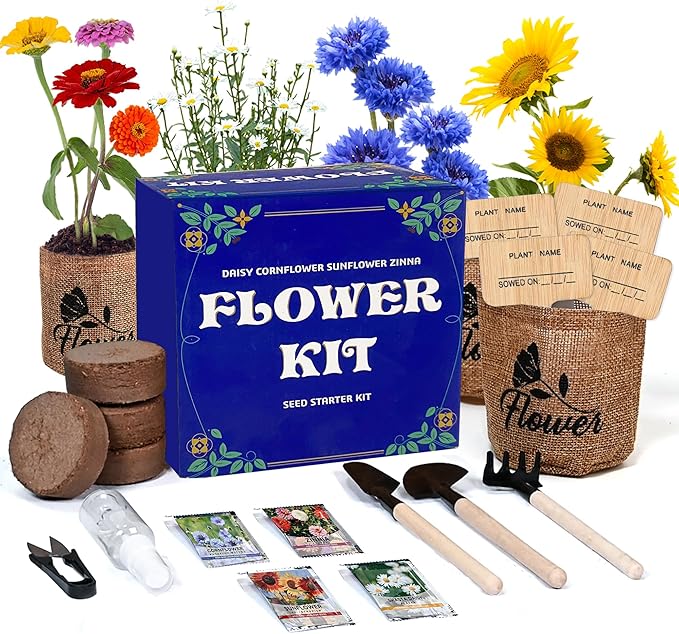Indoor Daisy Garden Starter Kit, 4 Flower Seeds Growing into Shasta Daisy, Cornflower, Sunflower, Zinnia, Including Complete Gardening Tools, Christmas Gifts for Women Men & Beginners
