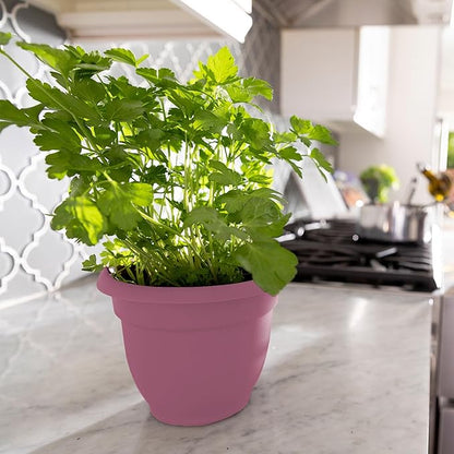 Bloem Ariana 8" Dusty Rose Round Self-Watering Resin Planter Pot - Rolled Rim Indoor and Outdoor Gardening Planter